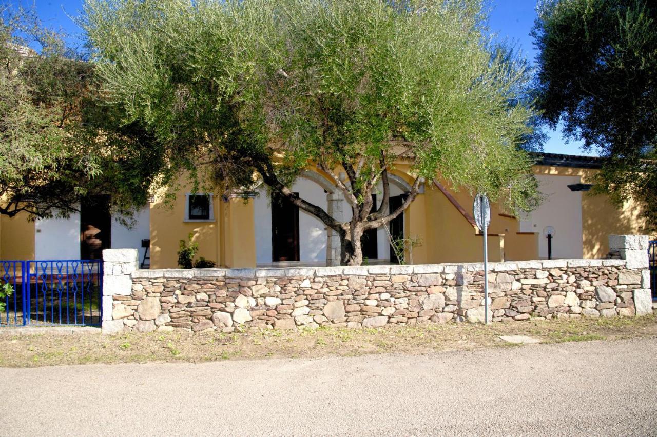 Residence Oasi E Oasi Blu San Teodoro  Eksteriør bilde