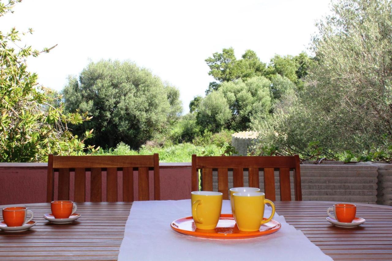 Residence Oasi E Oasi Blu San Teodoro  Eksteriør bilde