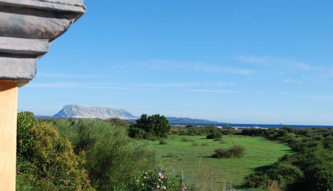 Residence Oasi E Oasi Blu San Teodoro  Eksteriør bilde