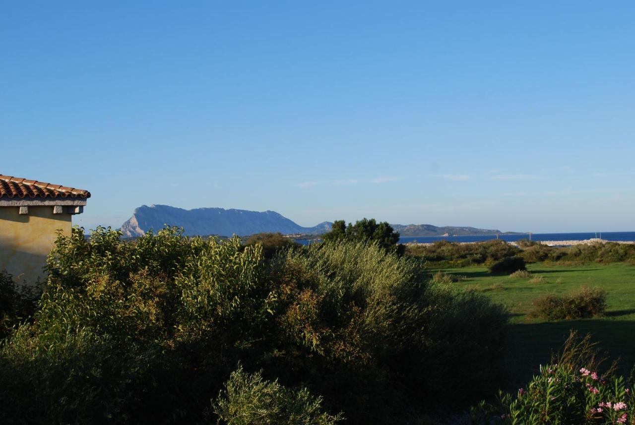 Residence Oasi E Oasi Blu San Teodoro  Eksteriør bilde